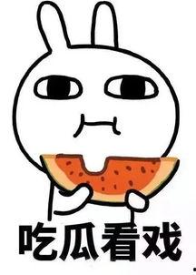 娱乐吃瓜酱学霸学渣,学霸与学渣的趣味碰撞